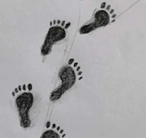 Символ "Крок за кроком"